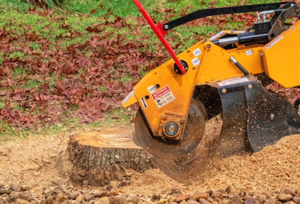 Stump grinding machine removing leftover tree stump and leveling yard surface after tree removal