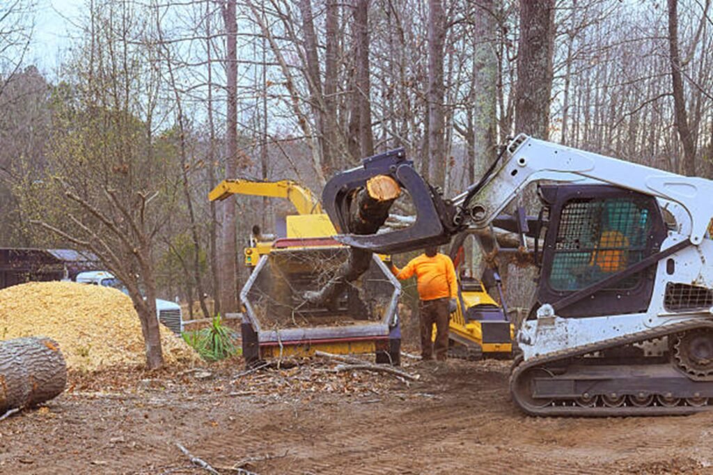 Tree stump completely removed and ground down in Macedonia, OH, residential yard