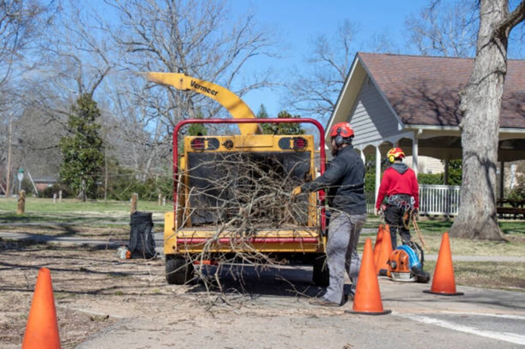 Tree service team loading branches into the wood chipper during a cleanup job in Macedonia, OH