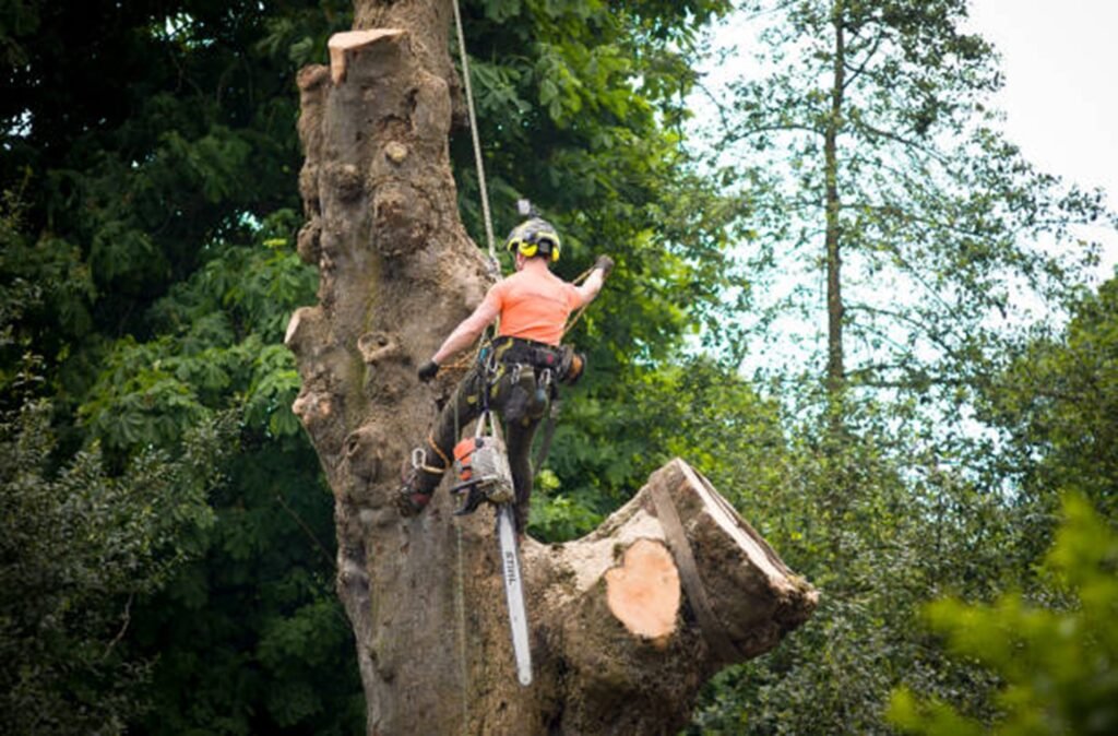 An arborist cutting a large tree trunk using a chainsaw during tree removal in Macedonia, OH