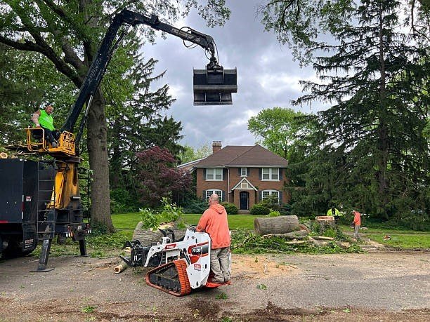 Tree service crew using a crane and equipment to remove large branches during tree trimming in Macedonia, OH