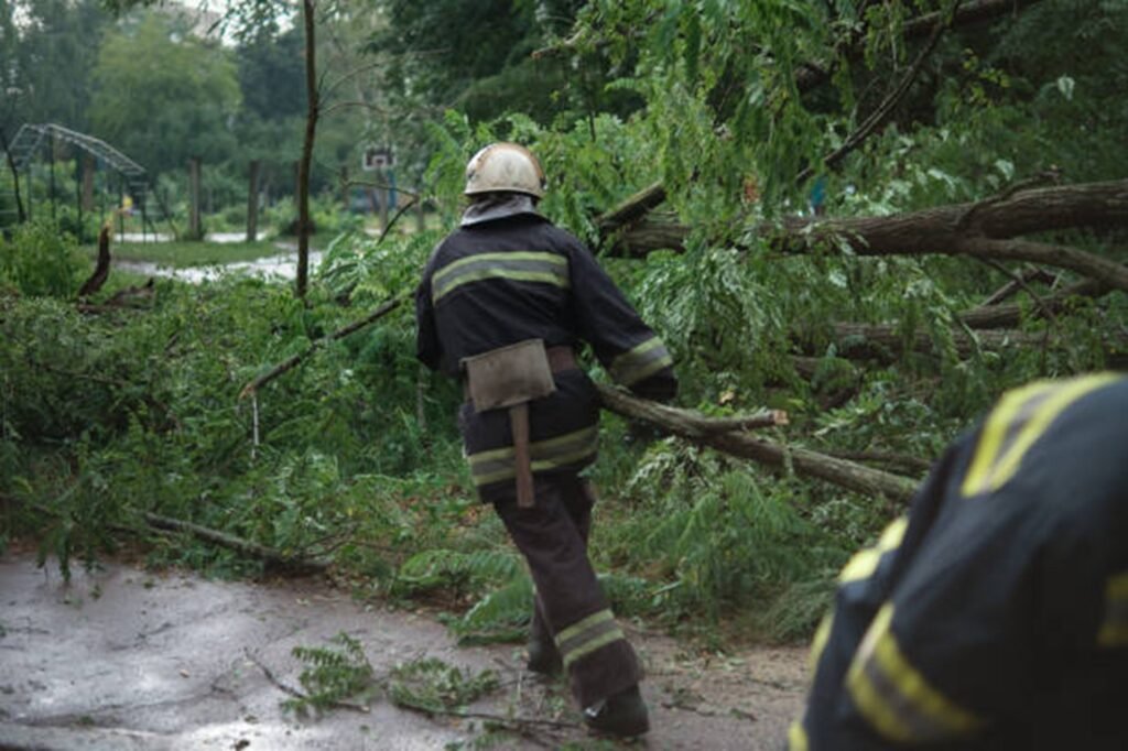 Tree service worker clearing storm debris and fallen branches from the roadway in Macedonia, OH