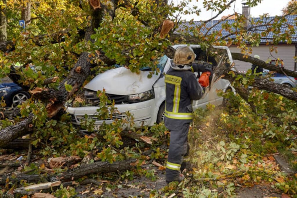 Emergency tree removal crew clearing fallen tree from damaged vehicle after storm in Macedonia, OH