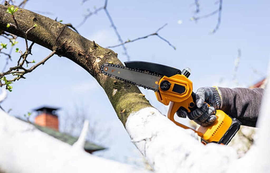 Tree trimming service cutting high branches using a power saw in Macedonia, OH