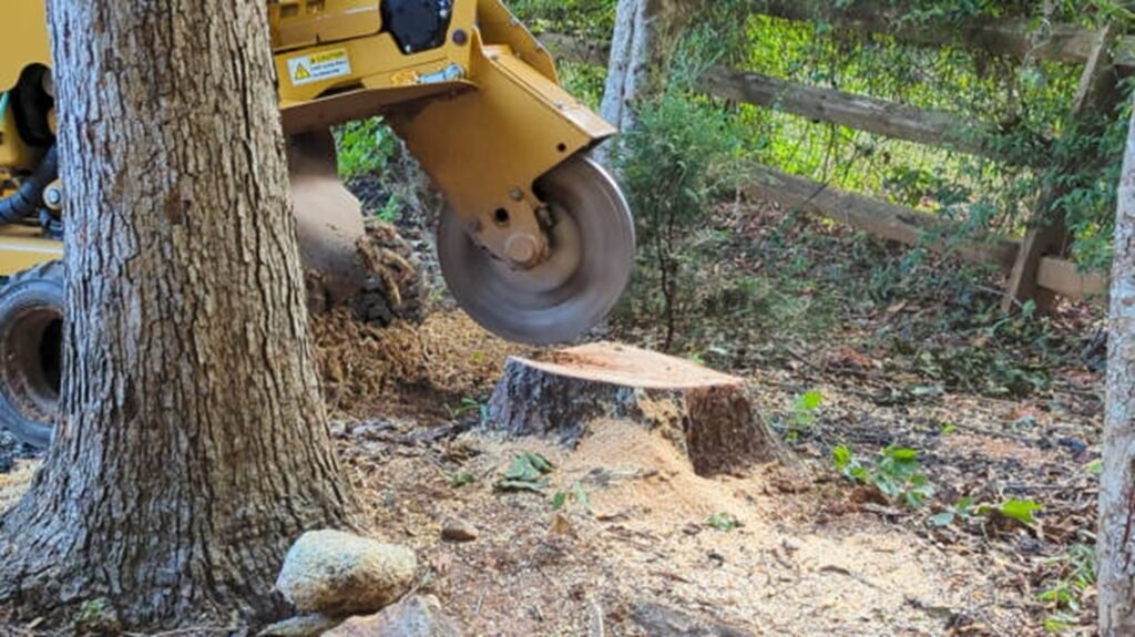 Stump grinding machine removing tree stump and debris in residential yard in Macedonia, OH