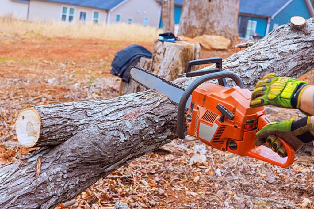 Chainsaw cutting a large tree trunk during a professional tree removal service in Macedonia, OH