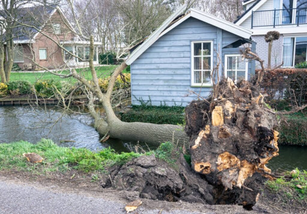 Uprooted tree with exposed roots after storm damage near residential home in Macedonia, OH