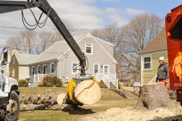 Crane lifting a heavy tree trunk during emergency tree removal service in Macedonia, OH
