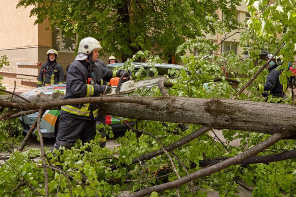 Emergency tree removal crew handling fallen tree and hazardous branches in Macedonia, OH