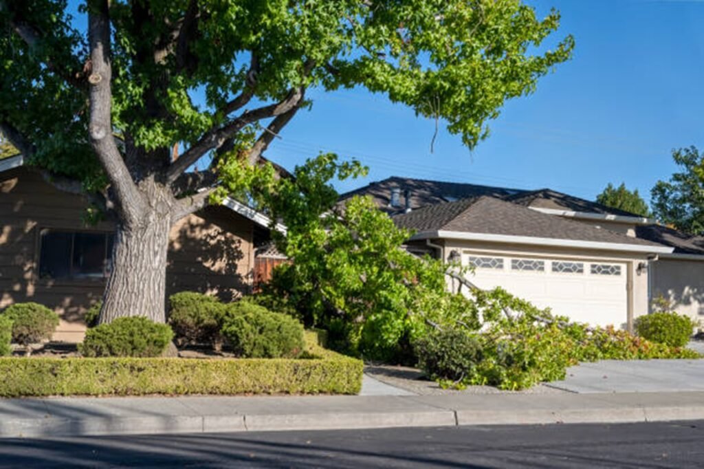 Fallen tree blocking driveway and damaging property during storm cleanup in Macedonia, OH