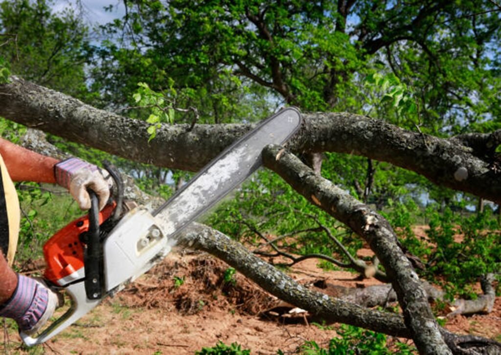 Large tree safely removed from residential property in Macedonia, OH by professional tree service crew